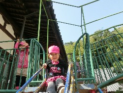 11��1���@�쐼��񂰁@�q�ǂ��B�̗l�q_3