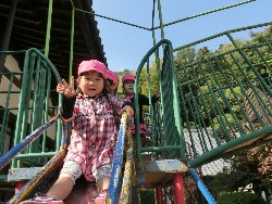 11��1���@�쐼��񂰁@�q�ǂ��B�̗l�q_5