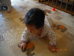 11��1���@�����@���{���̓�_1