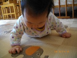 11��1���@�����@���{���̓�_2