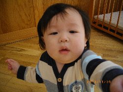 11��1���@�����@���{���̓�_6