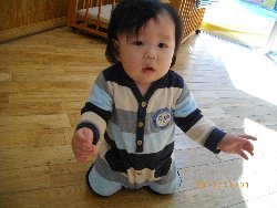 11��1���@�����@���{���̓�_7