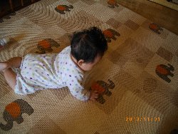 11��1���@�����@���{���̓�_8