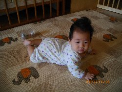 11��1���@�����@���{���̓�_9