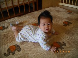 11��1���@�����@���{���̓�_10