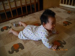 11��1���@�����@���{���̓�_11