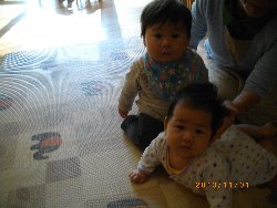 11��1���@�����@���{���̓�_13