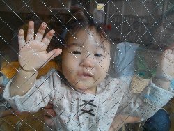 11��1���@�����@���{���̓�_36