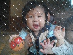 11��1���@�����@���{���̓�_37