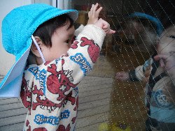 11��1���@�����@���{���̓�_44