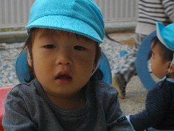 11��1���@�����@���{���̓�_46