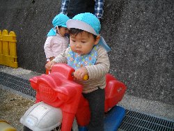 11��1���@�����@���{���̓�_51