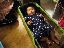 11��6���@�����@�g�̑���&����̗l�q_17