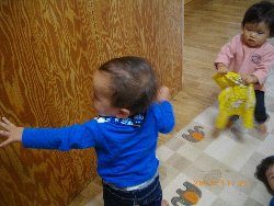 11��6���@�����@�g�̑���&����̗l�q_25