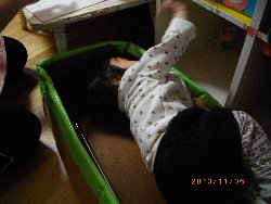 11��6���@�����@�g�̑���&����̗l�q_28