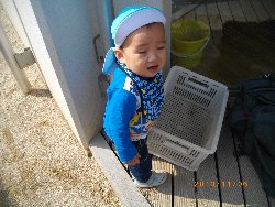 11��6���@�����@�g�̑���&����̗l�q_43