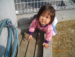 11��6���@�����@�g�̑���&����̗l�q_44