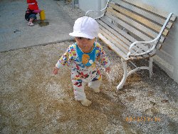 11��6���@�����@�g�̑���&����̗l�q_48