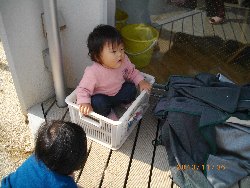 11��6���@�����@�g�̑���&����̗l�q_60