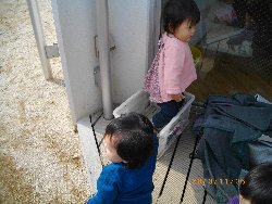 11��6���@�����@�g�̑���&����̗l�q_61