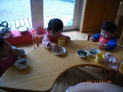 11��6���@�����@�g�̑���&����̗l�q_65