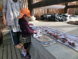 11��9���@���p�[�e�C�[_4