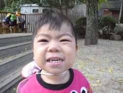 11��11���@����ۂہ@����V��&�l�ʐ^_6