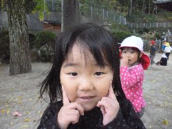 11��11���@����ۂہ@����V��&�l�ʐ^_9