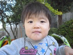 11��11���@����ۂہ@����V��&�l�ʐ^_13