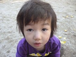 11��11���@����ۂہ@����V��&�l�ʐ^_14