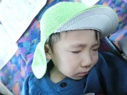 11��12���@�H�̃o�X�����@_5