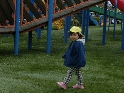 11��12���@�H�̃o�X�����@_8