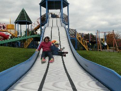 11��12���@�H�̃o�X�����@_19