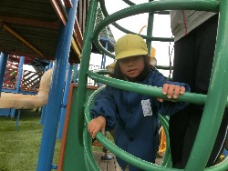 11��12���@�H�̃o�X�����@_32