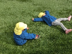 11��12���@�H�̃o�X�����A_33