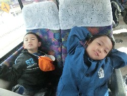 11��12���@�H�̃o�X�����A_36