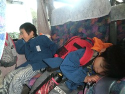 11��12���@�H�̃o�X�����A_37