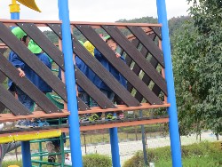 11��12���@�H�̃o�X�����B_36