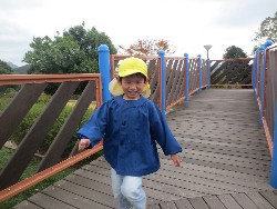 11��12���@�H�̃o�X�����B_43