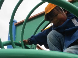 11��12���@�H�̃o�X�����B_48