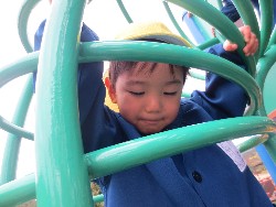 11��12���@�H�̃o�X�����B_50