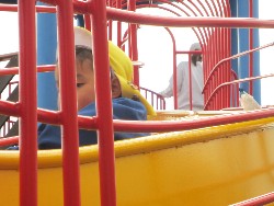 11��12���@�H�̃o�X�����C_24