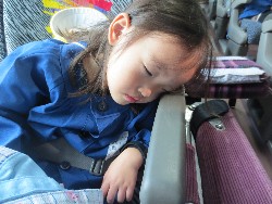 11��12���@�H�̃o�X�����C_48