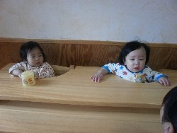 11��12���@�����@����&���G�����V��_31