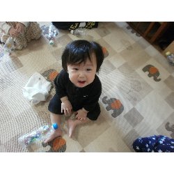 11��15���@�����@�����V��_17