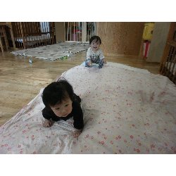 11��15���@�����@�����V��_24