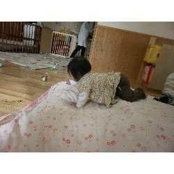 11��15���@�����@�����V��_29