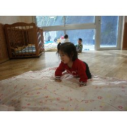 11��15���@�����@�����V��_31