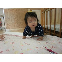 11��15���@�����@�����V��_40