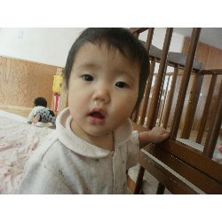 11��15���@�����@�����V��_49